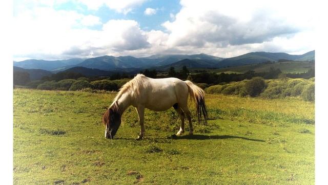 Kozí Dvor Rohozná - Brezno - Slovakia смотреть онлайн