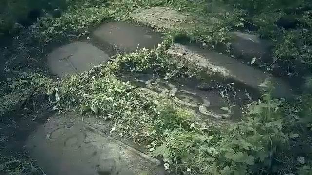 Неизвестный Кавказ : Тайна древних могил(part2).mp4 смотреть онлайн