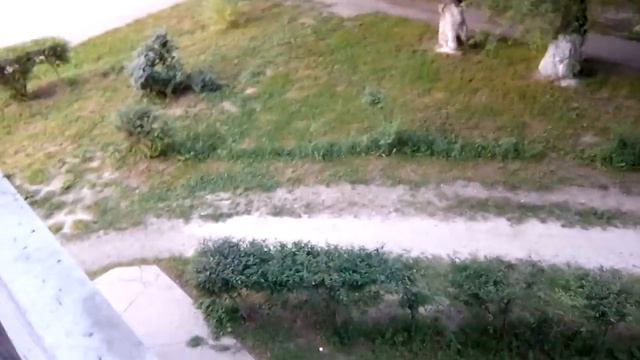 Летом Пол пятого утра уже светло! смотреть онлайн