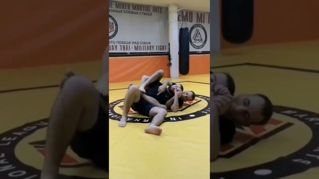 Энциклопедия БЖЖ от Морозова Сергея Владимировича: