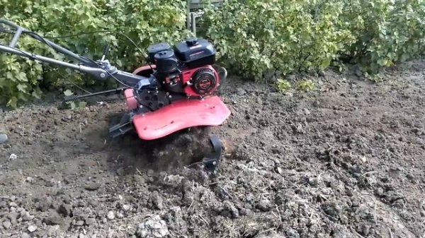 WEIMA WM900-3 культивация