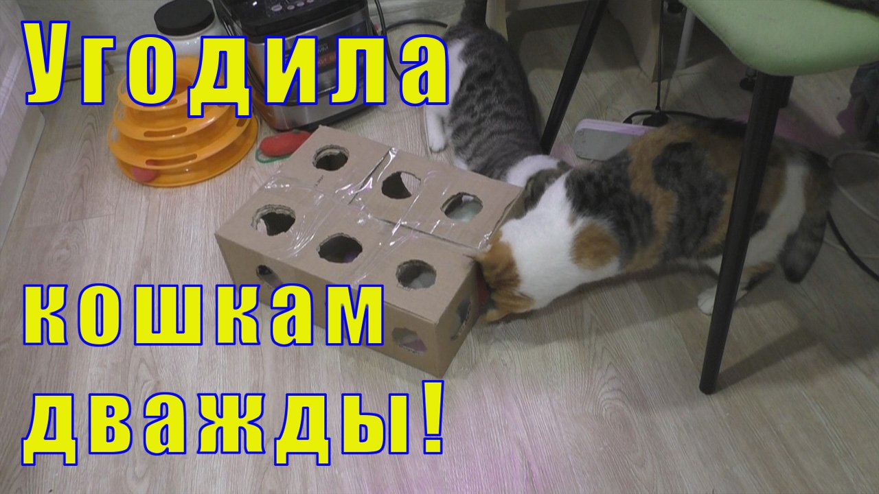 ИГРУШКИ ДЛЯ КОШЕК СВОИМИ РУКАМИ /КОШКИ В ВОСТОРГЕ