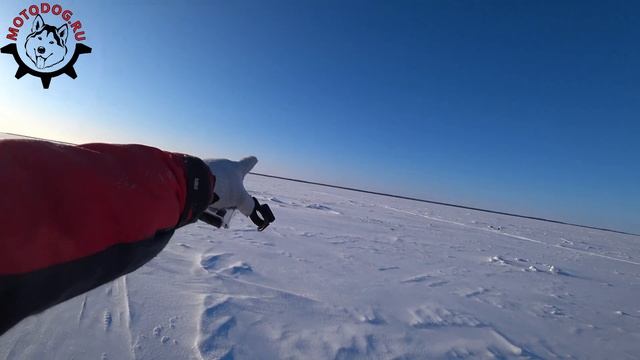 На рыбалку в -35 | Мотобуксировщик Motodog не подвел. смотреть онлайн