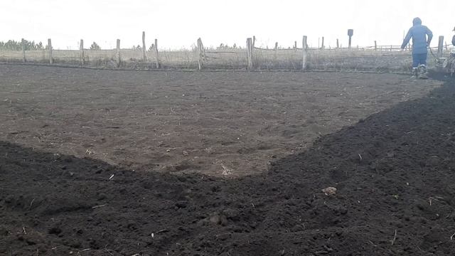 Мотоблок с двигателем на 380 V смотреть онлайн