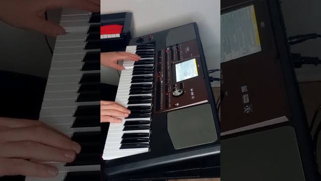 Korg Pa-700 DEMO 1 - Modern Pop, Concert Guitar DNC, Jazz Guitar 2 DNC 👉🎧