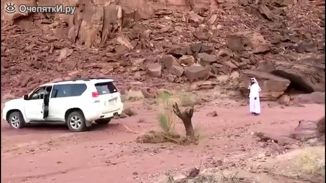 Может ли Тойота вырвать пенёк. смотреть онлайн