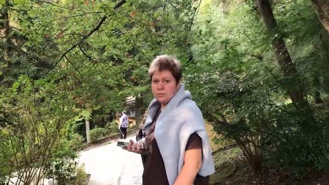 Vlog Sochi / дендрарий🍃