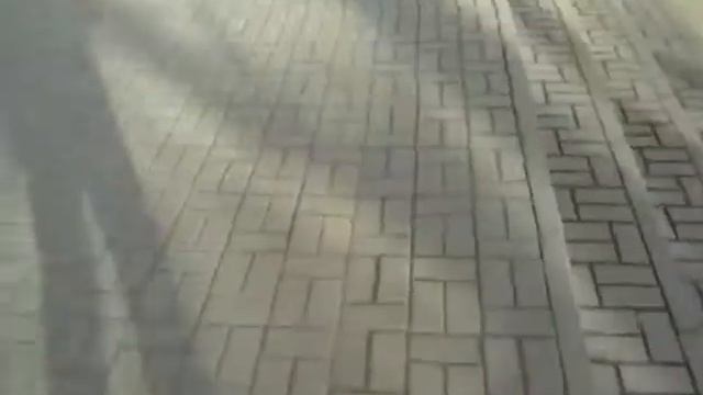 Собака барабака с холодными губами смотреть онлайн