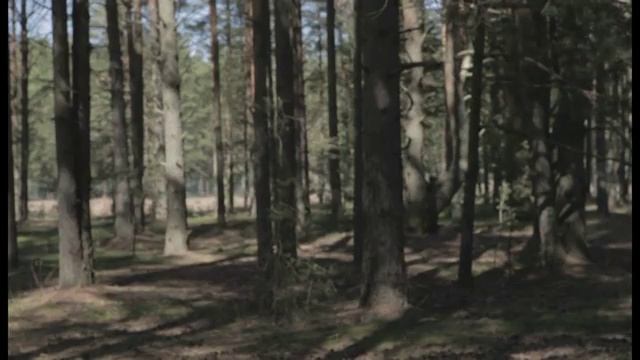 1812 Правдивая история (конкурс) - Слет АО Равенство 2016