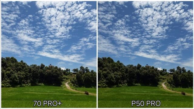Honor 70 Pro Plus vs Huawei P50 Pro Camera Comparison смотреть онлайн