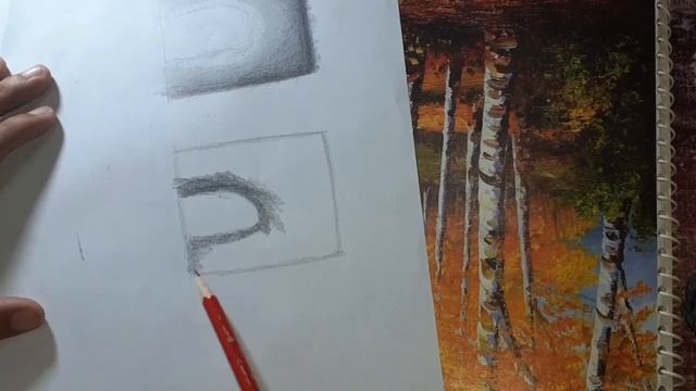 drawing course full class 10//sketching// //hindi//urdu/how to give background shades step by step смотреть онлайн