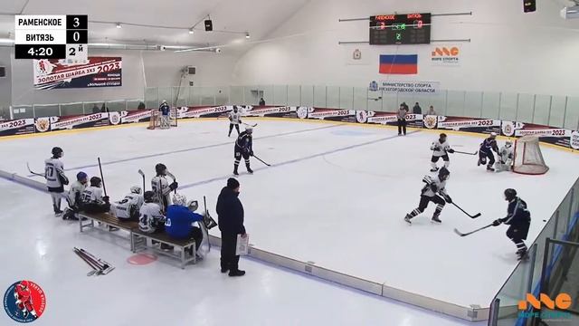 ЗШ (1) 08-09 г.р. | Раменское - Витязь | 16 Ноября 2023 г. 11:50 | смотреть онлайн