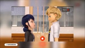 Клип леди баг и супер кот “моя половина“