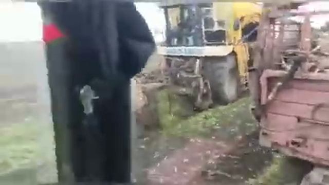 Уборка сахарной свеклы 2020. Трактор Мтз под комбайн. Свеклоуборочный комбайн Kleine смотреть онлайн
