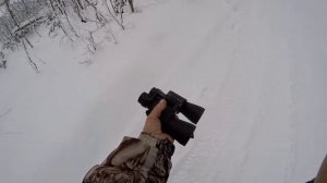 Бинокль 10-60х60 китайский "Bushnell"