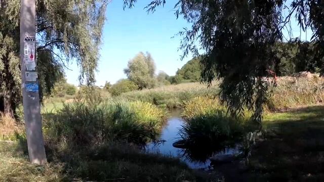 Народный праздник «Давид Земляничник». 9 июля. Что нельзя делать. смотреть онлайн