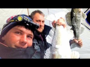 РЫБАЛКА КОСМОС!!! СУДАКИ! ЩУКА! ЖЕРЛИЦЫ ПРОТИВ ВИБОВ! РЫБАЛКА НА СУДАКА И ЩУКУ