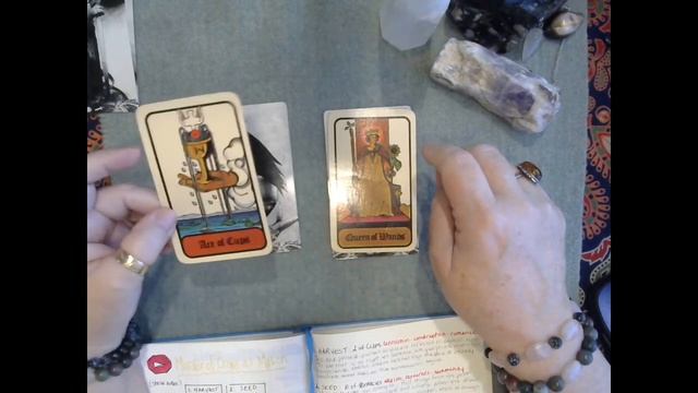 A reading from the Murder of Crows Tarot for Mabon смотреть онлайн