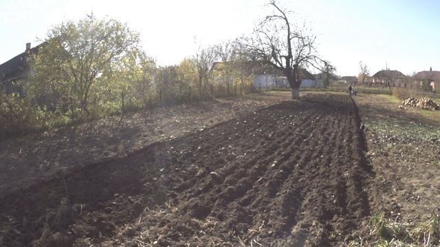 Просто ідеально - оранка смотреть онлайн