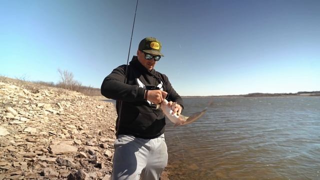 NEW PB Bank Fishing w/ GIANT Cut Bait!! (TROPHY HUNT) смотреть онлайн