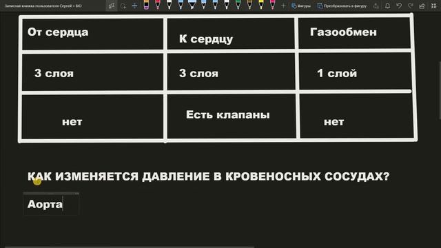 Сравнение кровеносных сосудов (артерии, вены, капилляры) анатомия ЕГЭ смотреть онлайн