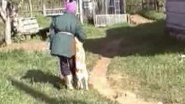 Беспризорный смотреть онлайн