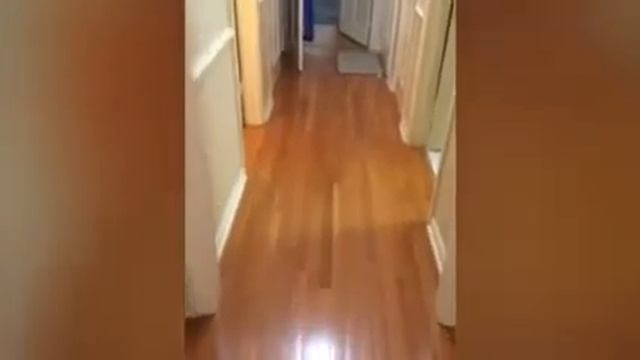 Orbital wood floor cleaning pt3 смотреть онлайн