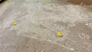 Наливной пол. Реперные маяки