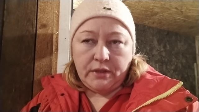 Первая дойка козы после окота// Первое кормление козлят смотреть онлайн