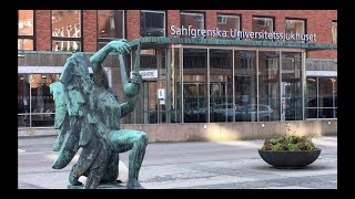 Coronavirus I Sverige