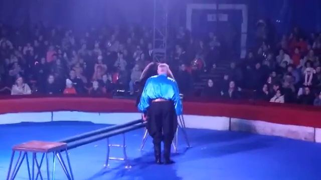 кто был на представление супер цирк🎪 смотреть онлайн