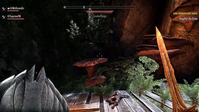 ESO | Let's Play [The Elder Scrolls Online] | 007 смотреть онлайн