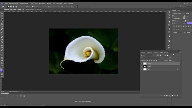 Как изменить цвет объекта в фотошопе ( Photoshop ) смотреть онлайн