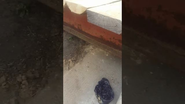 Монтаж весов на тензодатчики смотреть онлайн
