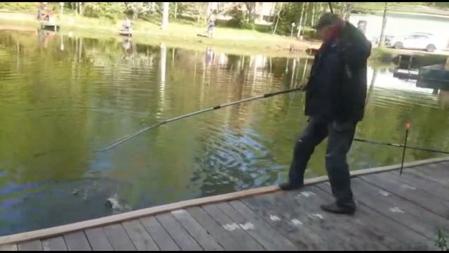 Голицыно Fish смотреть онлайн