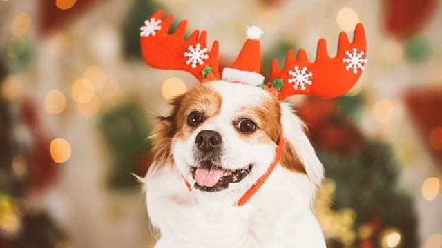 Кто-то счастье ждёт...кто-то в сказку верит... Вот и новый год к нам стучится в двери... смотреть онлайн