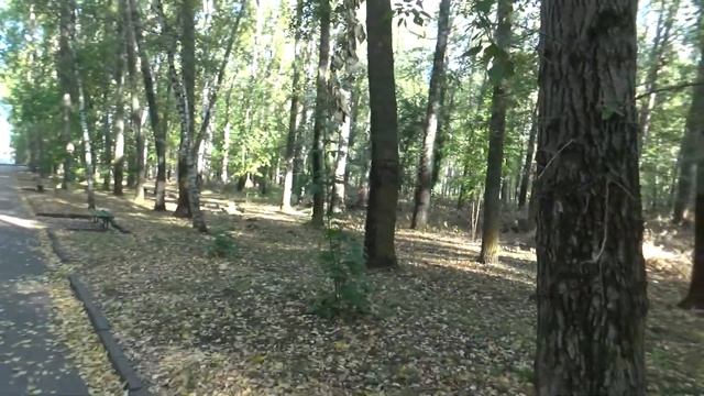 Гербарий.Обзор парка Каменки. смотреть онлайн