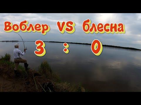 Воблер VS Блесна. Река АМУР. Рыбалка на спиннинг с берега 2020 смотреть онлайн