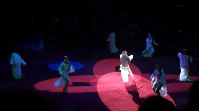 Circus. The show pigeons. Цирк. Смотреть Шоу голубей смотреть онлайн