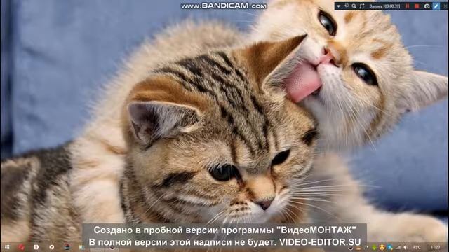 Как сделать так чтобы ярлыки появились на рабочем столе! смотреть онлайн