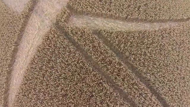 117 Донесение. 10 июля 2015. Англия. Графство Уилтшир. смотреть онлайн