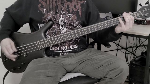 SlipknoT - Solway Firth [Bass Cover] смотреть онлайн
