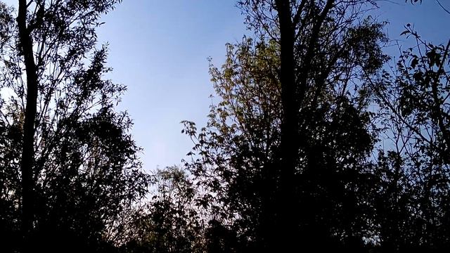 Водный поход по р.Сейм, май 2016 г. Утренний хор птиц смотреть онлайн