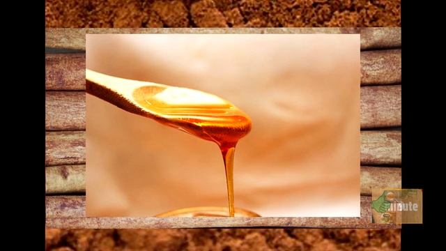 ЛЕЧЕНИЕ КОРИЦЕЙ И МЕДОМ. Полезные свойства и рецепты применения. смотреть онлайн