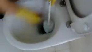Как мыть унитаз