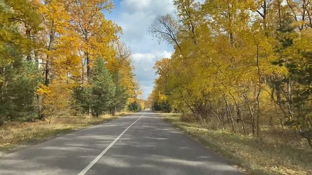 Тест радиостанции Retevis RT86 в лесу смотреть онлайн