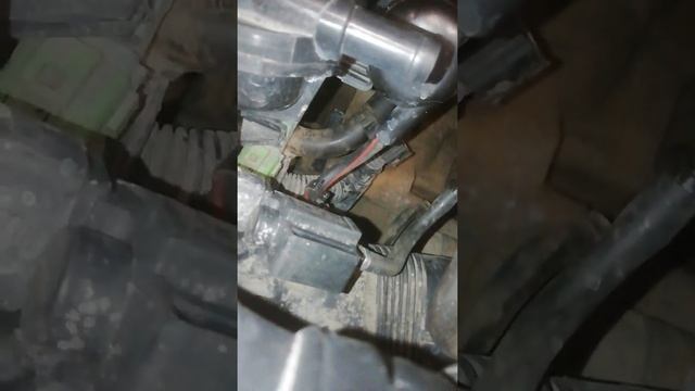 Номер двигателя шкода суперб 2009 года смотреть онлайн