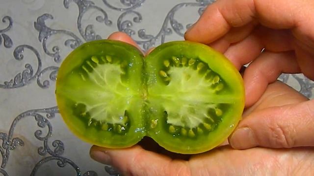 томат Лапа кенгуру зеленый гном. Тест спелых плодов. смотреть онлайн