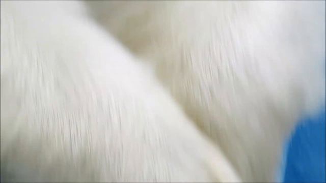 Герда отдыхает на камне 09.11.2022 смотреть онлайн