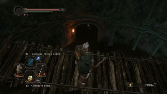 DARK SOULS II . Могила Святых. #darksouls2 #прохождениеdarksouls2 #darksouls2прохождение